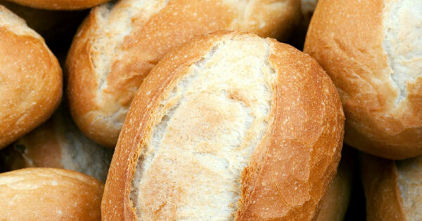 Freshly baked dinner bread rolls (6 pieces)